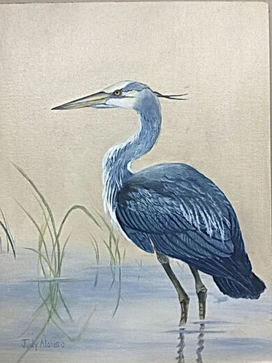 Wading Heron